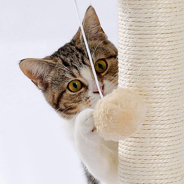 Interactive Cat Scratcher & Ball Track
