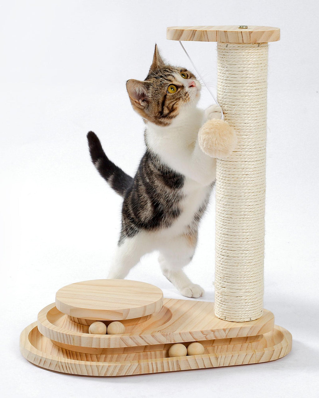 Interactive Cat Scratcher & Ball Track