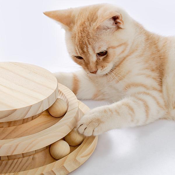 Interactive Cat Scratcher & Ball Track