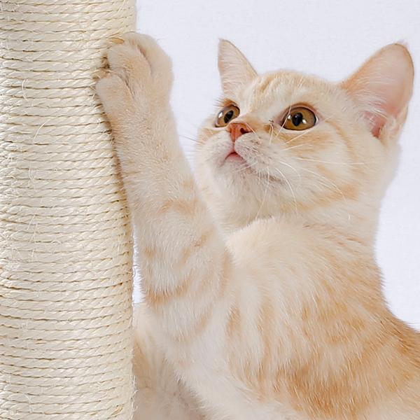 Interactive Cat Scratcher & Ball Track