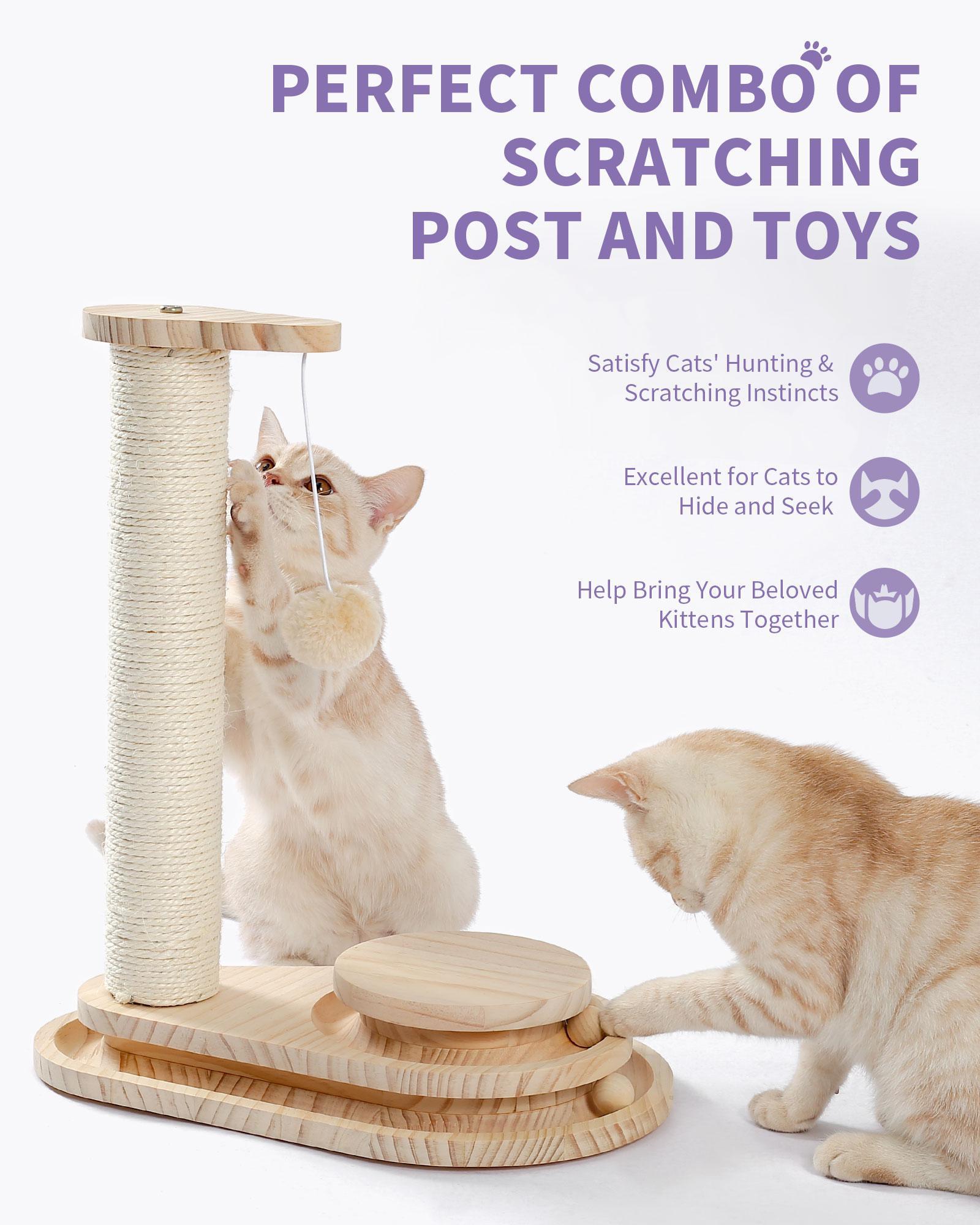 Interactive Cat Scratcher & Ball Track