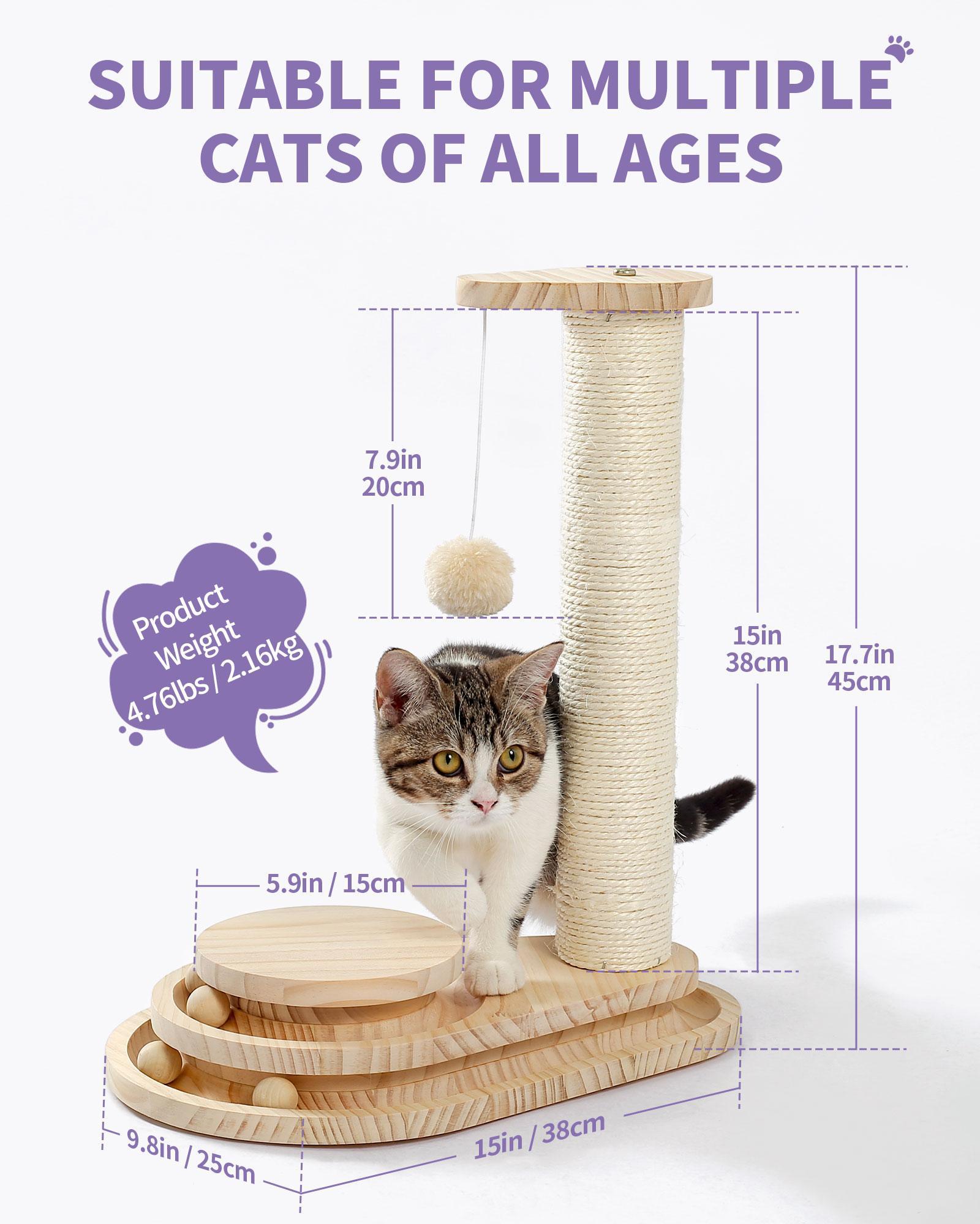 Interactive Cat Scratcher & Ball Track