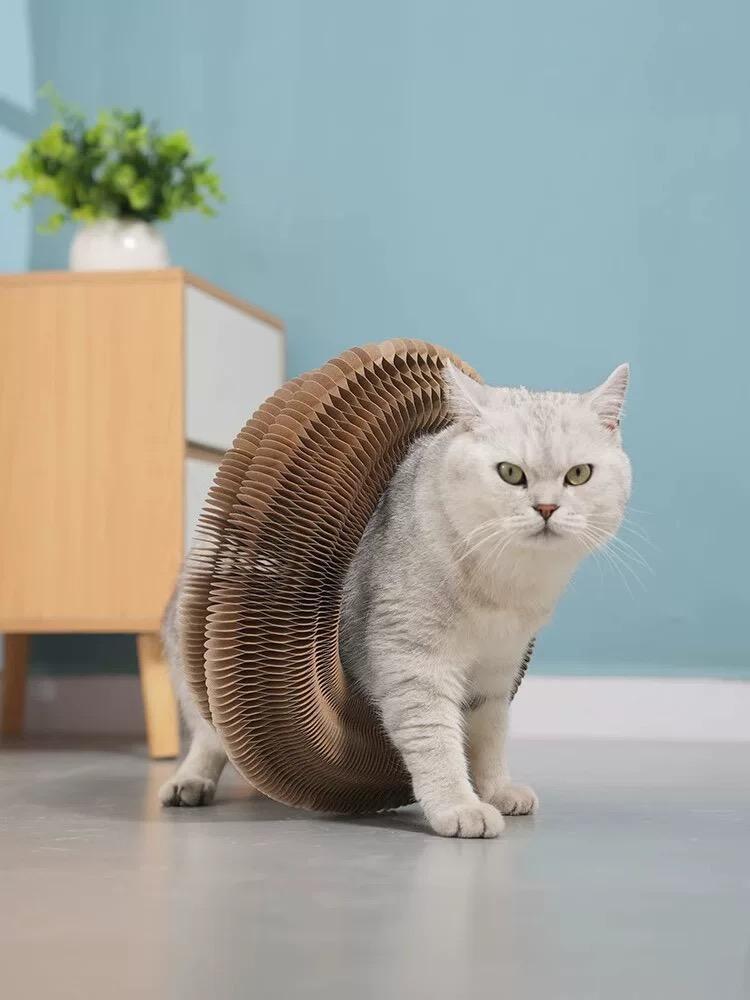 Eco Friendly Magic Organ Cat Scratcher